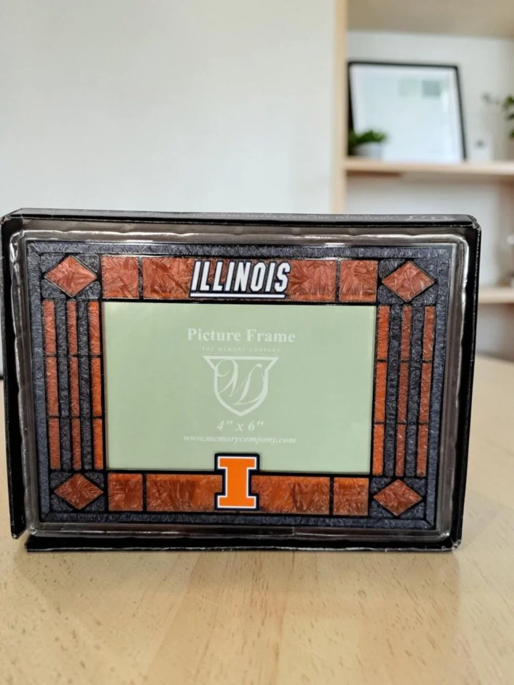 Illinois Fighting 4x6 Stained Glass Picture Frame The Memory Company College